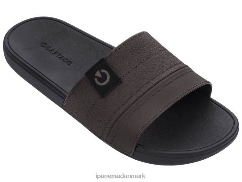 Ipanema dakar rutsjebane Mænd fodtøj Brun 6HBZ0467