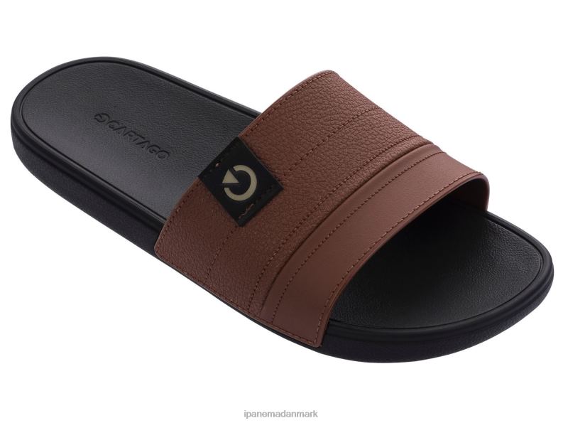 Ipanema dakar rutsjebane Mænd fodtøj tan 6HBZ0465