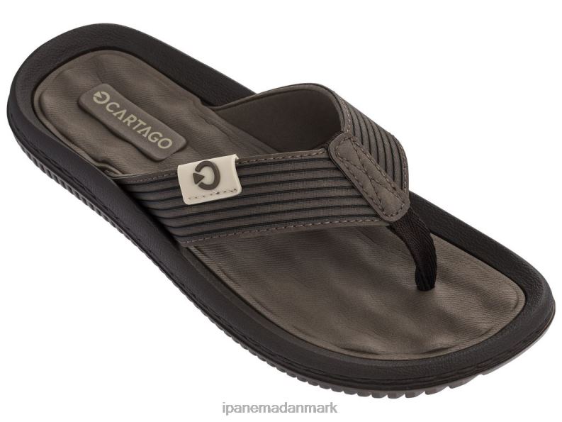 Ipanema dunas Mænd fodtøj Brun 6HBZ0451