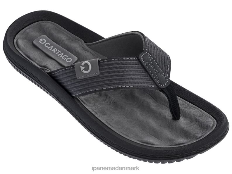 Ipanema dunas Mænd fodtøj sort 6HBZ0450