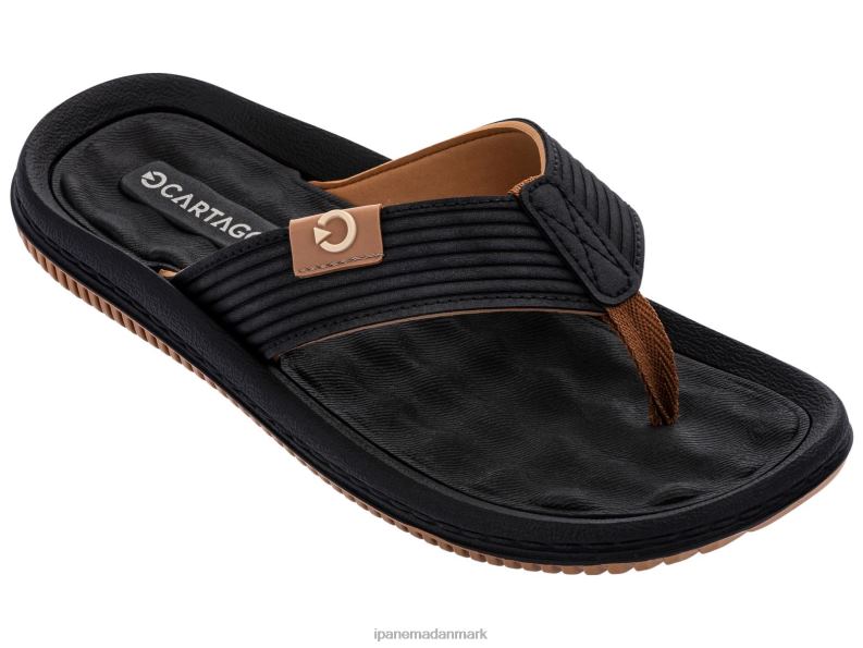 Ipanema dunas Mænd fodtøj sort tan 6HBZ0448