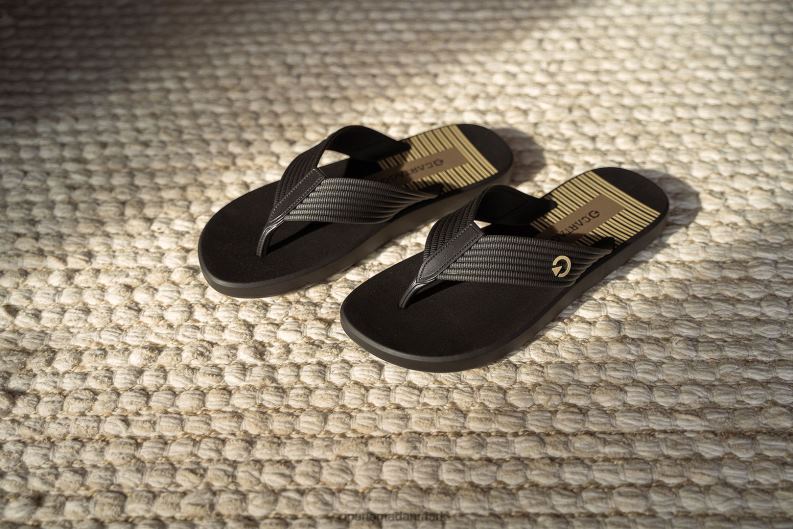 Ipanema montreal Mænd fodtøj sort 6HBZ0457