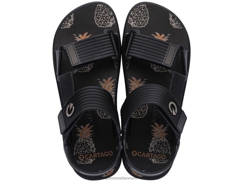 Ipanema ilheus sandal Mænd fodtøj sort 6HBZ0471